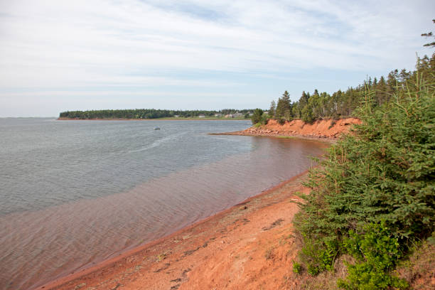 istock Beautiful Swimming Rock beach 1165607691