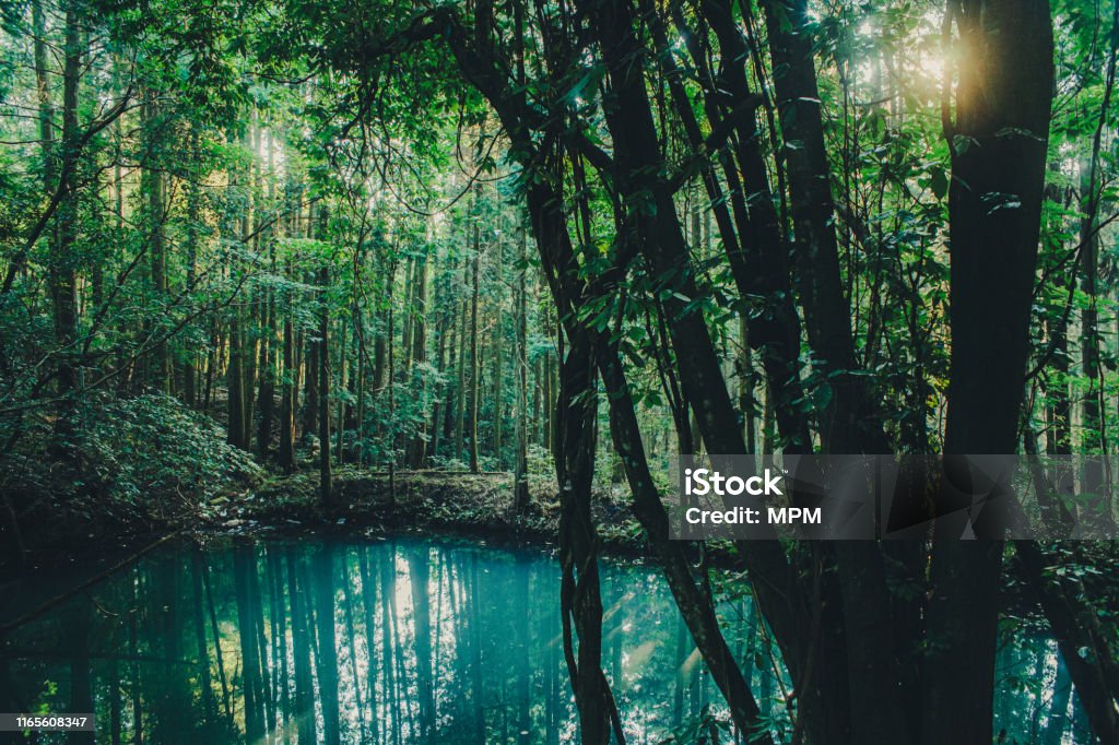 Morning sunshine hits an emerald green lake emerald green lake Autumn Stock Photo