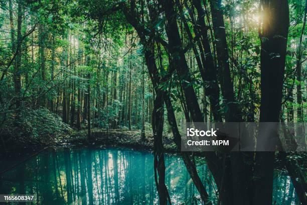 Morning Sunshine Hits An Emerald Green Lake Stock Photo - Download Image Now - Autumn, Beauty, Blue