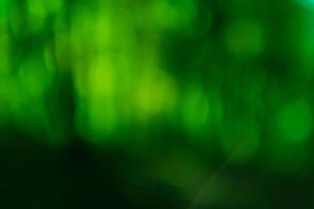 istock green bokeh lights defocused glow background 1165610749
