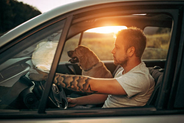 istock Kid enjoying ride with his owner 1165613177