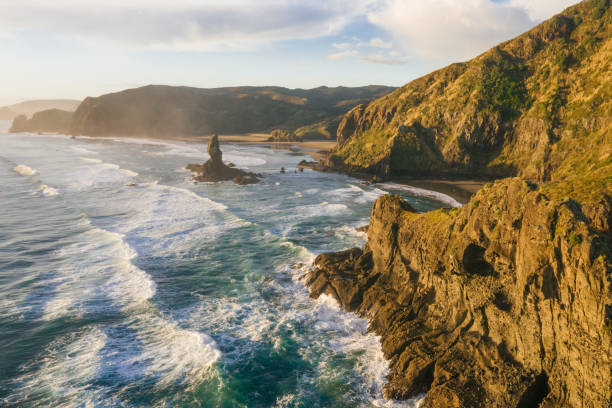 istock West Auckland Coastline 1165618928