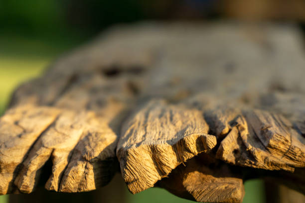 Old wood rough texture background with knots and hole with copyscape