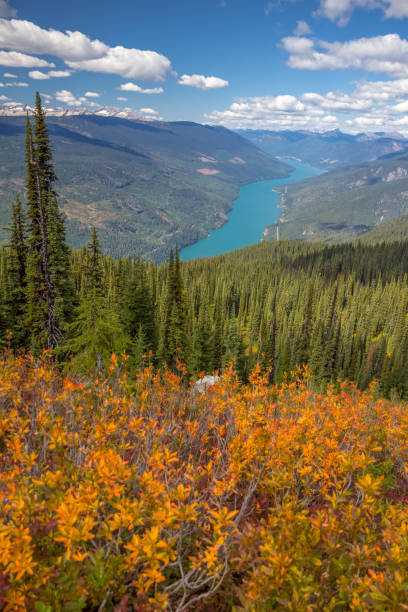 istock Autumn in Mount Revelstoke National Park, Canada.  Eagle Knoll Trail 1165624432