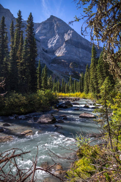 istock Fast flowing creek near Upper Kananaskis Lake, Alberta, Canada 1165624433