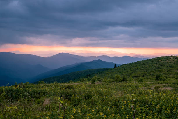 schwarzer balsam knopf in western nc bei sonnenuntergang - mountain mountain range north carolina blue stock-fotos und bilder