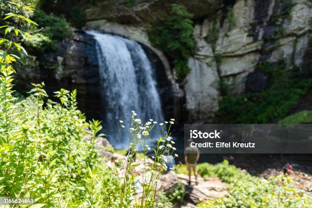Looking Glass Falls In Western Nc Stock Photo - Download Image Now - North Carolina - US State, Spring - Flowing Water, Springtime
