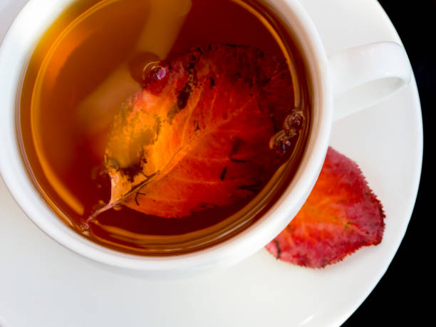 istock autumn leaf flowing in a white cup of tea on a dark background 1165626486