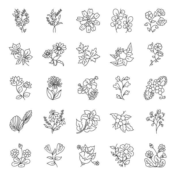 Hand Drawn Floral Designs Pack Beautifully designed floral elements and floral design vectors are here in hand drawn style. Creatively designed vectors are easy to use. Happy downloading! sunflower vine stock illustrations