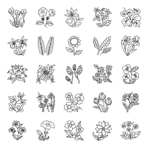 Flower Tattoos Hand Drawn Vectors Beautifully designed floral elements and flower tattoos vectors in hand drawn style. Creatively designed vectors are easy to use. Happy downloading! sunflower vine stock illustrations