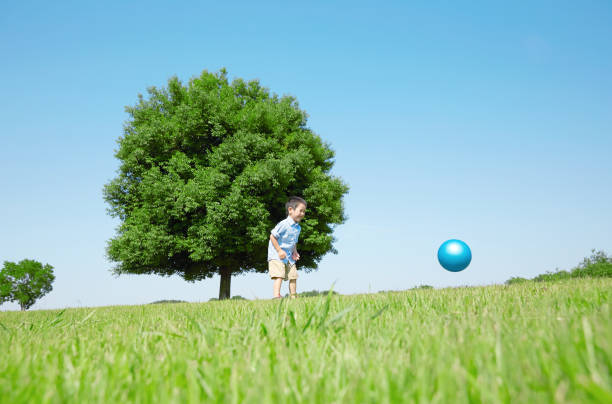 istock Japanese boy playing in the field 1165627512