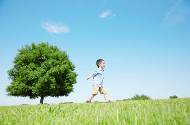 istock Japanese boy playing in the field 1165627513