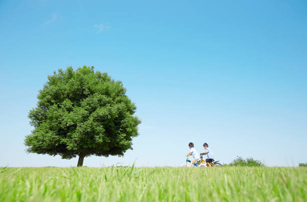 フィールドで遊ぶ日本人の少年 - 草地 ストックフォトと画像