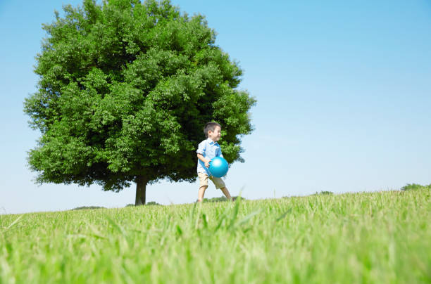 istock Japanese boy playing in the field 1165627534