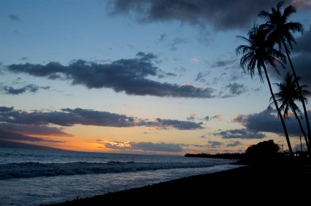 istock Maui Summer Sunset Palm Trees 1165629241
