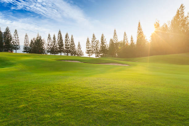 istock Green grass field on hills blue sky with clouds. Golf field 1165632954