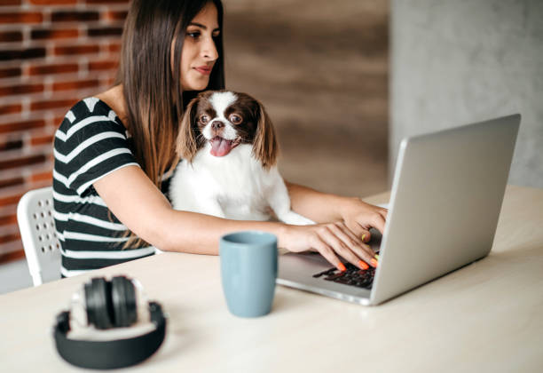 istock My best friend on work with me 1165633083