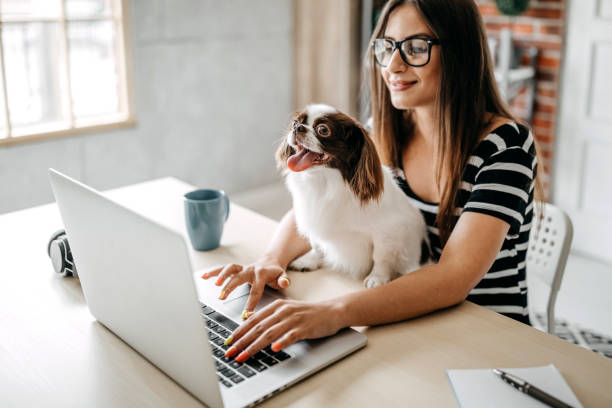 istock You make my job easyer 1165633124