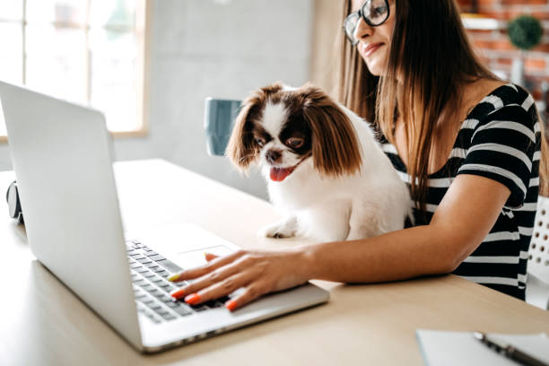 istock You make my job easyer 1165633127