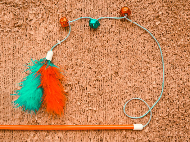 istock Cat toys on cat scrather background 1165635765