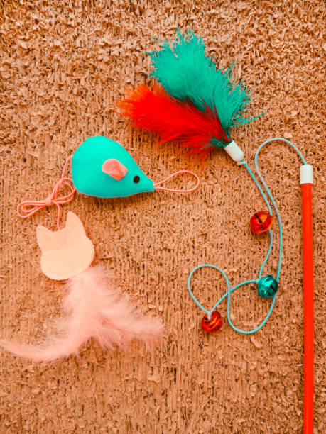 istock Cat toys on cat scrather background 1165635770