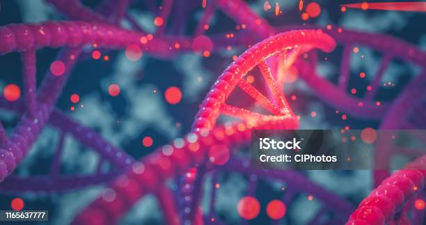 Dna Sarmalı Renkli Genler Kromozomlar Dna Dizisi Parlaklık Ile Dna Yapısı Bilim Kavramı Arka Planı Stok Fotoğraflar & DNA‘nin Daha Fazla Resimleri