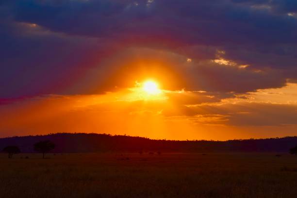 istock sunset over the Serengeti 3 1165639795