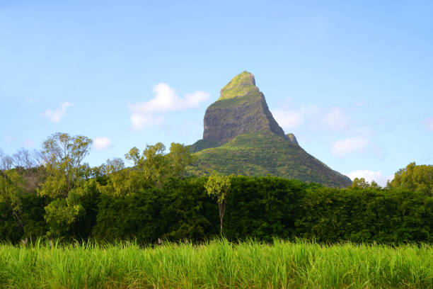 Beautiful mountain landscape with sugar cane field and Mount Rempart in Mauritius island. Indian Ocean.