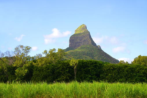 A panoramic view of the famous Chocolate Hills on Bohol Island, Philippines. The landscape is dominated by the presence of the Chocolate Hills, which are a series of conical-shaped hills covered in lush tropical plants. The hills extend as far as the eye can see, creating a captivating sight. The sky above is blue with scattered clouds, adding depth to the overall scene. This photograph beautifully captures the natural beauty of Bohol Island, specifically highlighting the unique geological formations known as the Chocolate Hills.