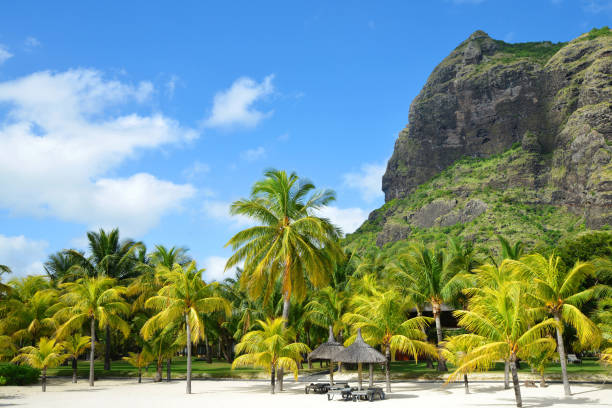 istock Beautiful sandy beach with Le Morne Brabant.Mauritius island. 1165640167