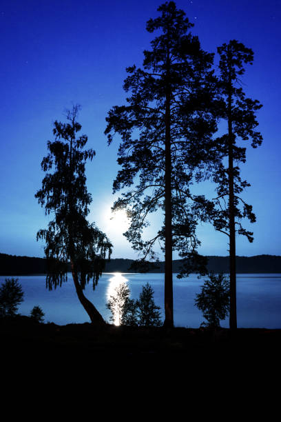 istock fantastic night landscape with moon over  lake 1165641086