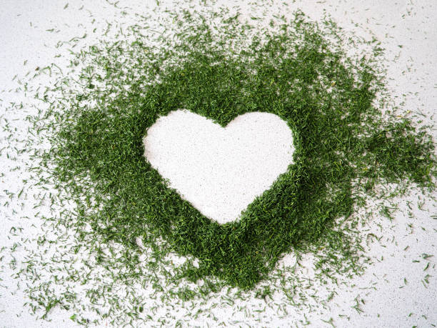 istock dried dill seasoning on white background 1165642888