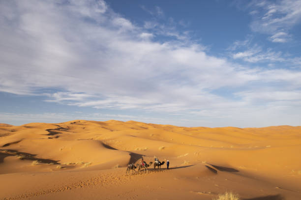 美しい夕日の間にラジャスタンのタール砂漠の砂丘にラクダに乗っていくつかの観光客の素晴らしい景色。インド。タール砂漠はインド北西部の大きな乾燥地帯です。 - india rajasthan thar desert travel ストックフォトと画像