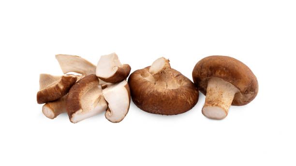 istock Shiitake mushroom on the White background 1165643100