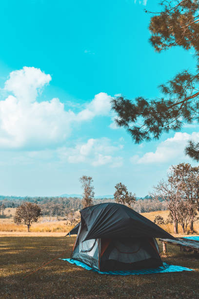 istock tourist tent camping in mountains 1165646817