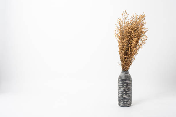 istock Beautiful dry flower in vase on white background 1165649847