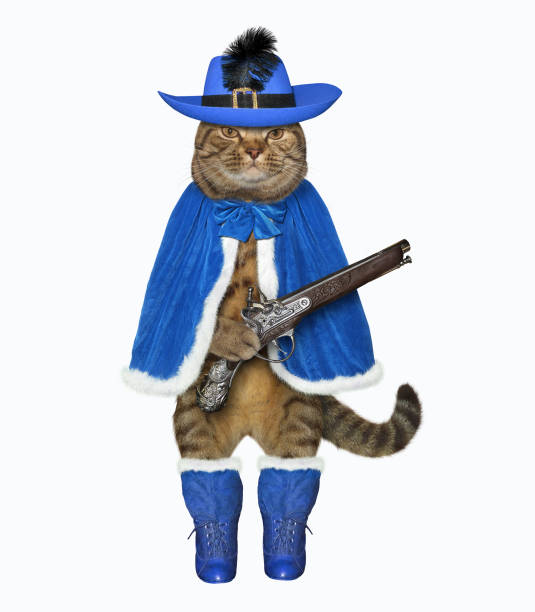 istock Cat musketeer holds a pistol 1165653396