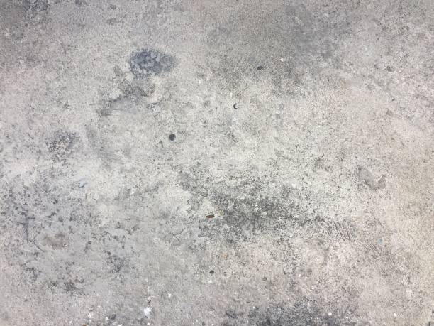 istock White concreted wall for interior or outdoor. Gray concrete wall surface 1165653545