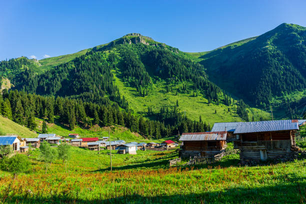 Summer Mountain Plateau Highland with Artvin  - Turkey