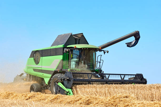 istock Green combine harvester machine harvesting wheat 1165659209