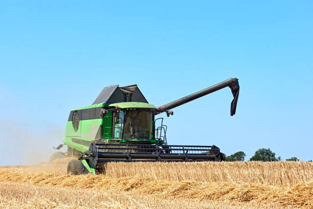 istock Green combine harvester machine harvesting wheat 1165659211