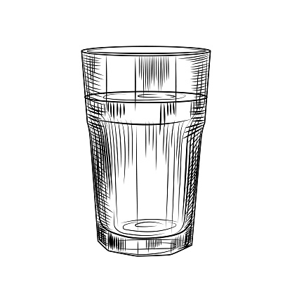 Hand drawn highball glass. Collin glass isolated on white background. Engraving style. Vector illustration