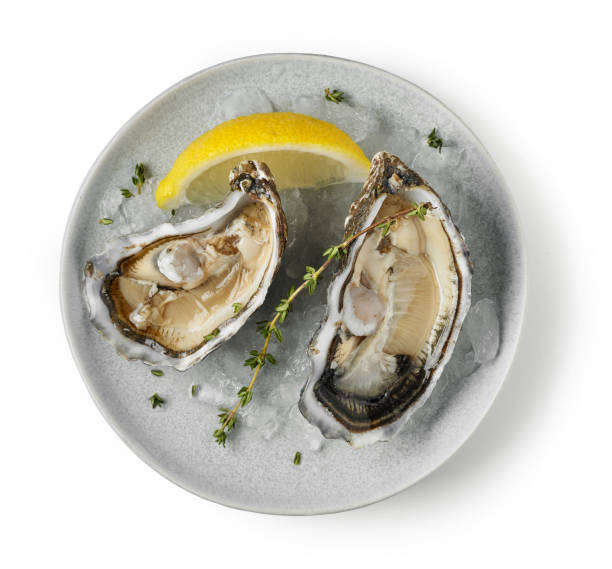 istock plate of fresh raw oysters 1165662879