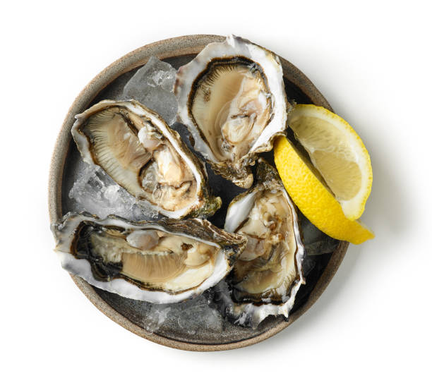 istock plate of fresh raw oysters 1165662881