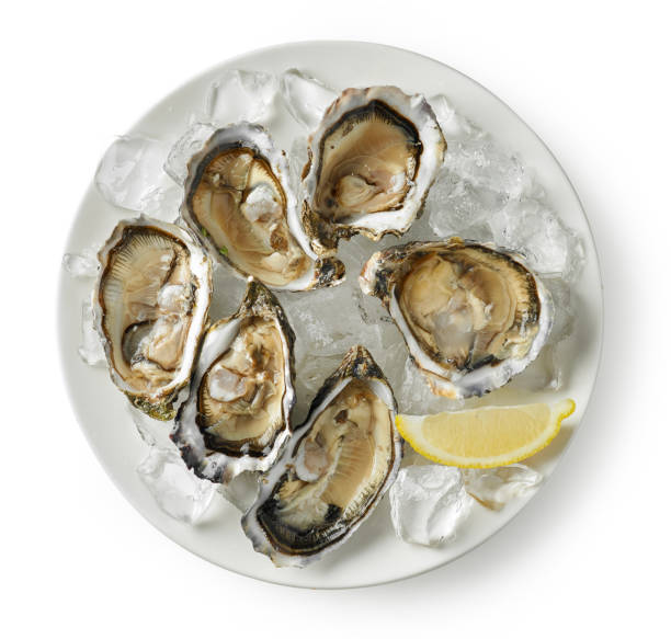 istock plate of fresh raw oysters 1165662936