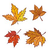 단풍 나무 는 9 월 또는 10 월 잎 가을을 설정합니다 벡터 개요 일러스트 스케치 다채로운 고립 된 가을 초본 그래픽입니다 10월에  대한 스톡 벡터 아트 및 기타 이미지 - Istock