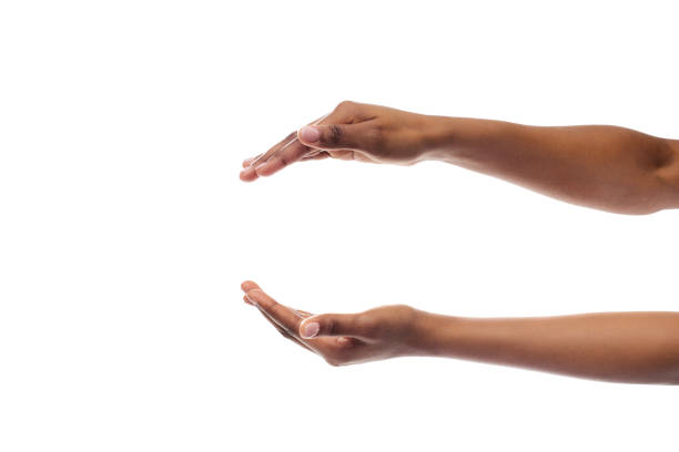 Black Woman's Hands Holding Something Isolated On White Background Black Lady's Hands Holding Or Giving Something Invisible Isolated On White Studio Background. Panorama, Empty Space hand holding gift stock pictures, royalty-free photos & images