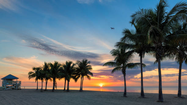 istock Tropical Palm trees at sunrise on tropical beach 1165667210