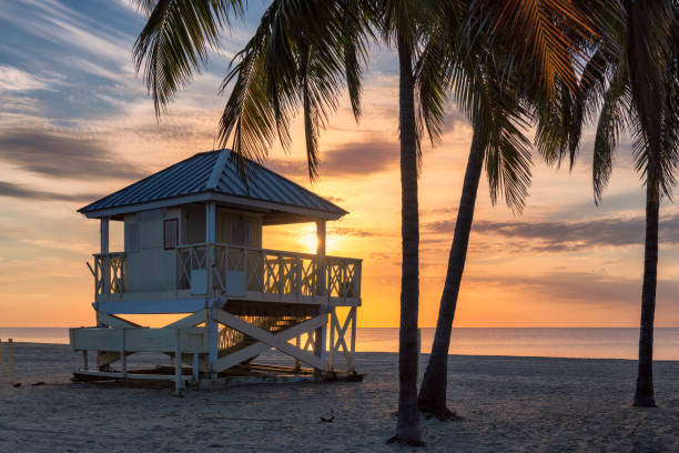istock Tropical Palm trees at sunrise on beautiful beach 1165667213
