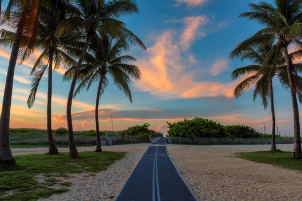 istock Tropical Palm trees at sunrise on beautiful beach 1165667216